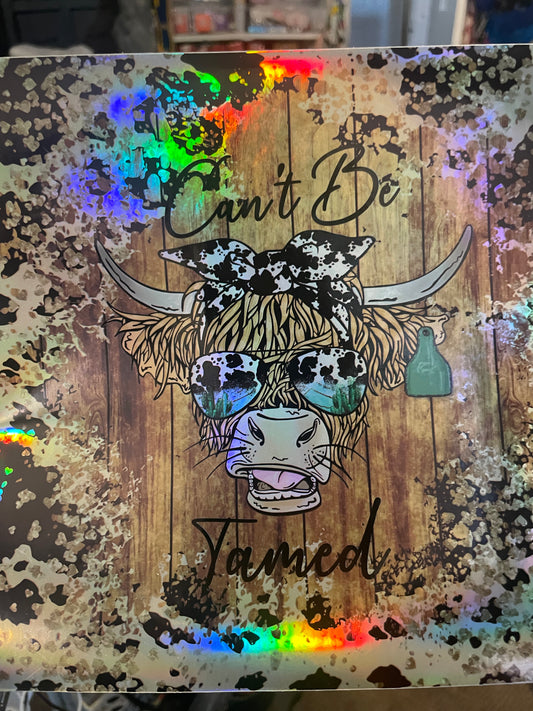 Holographic Cow